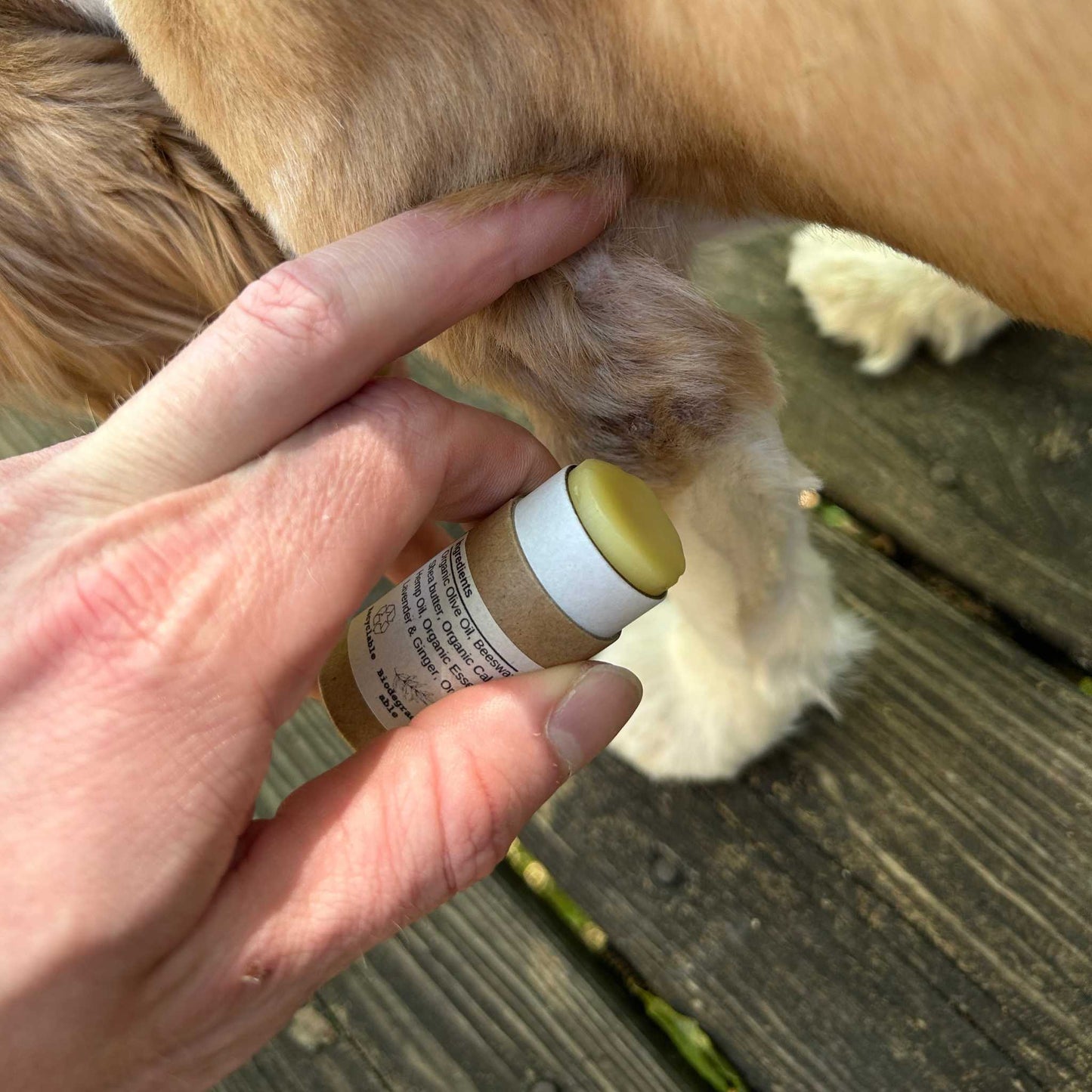 Pooch Paw | Hot Spot Balm