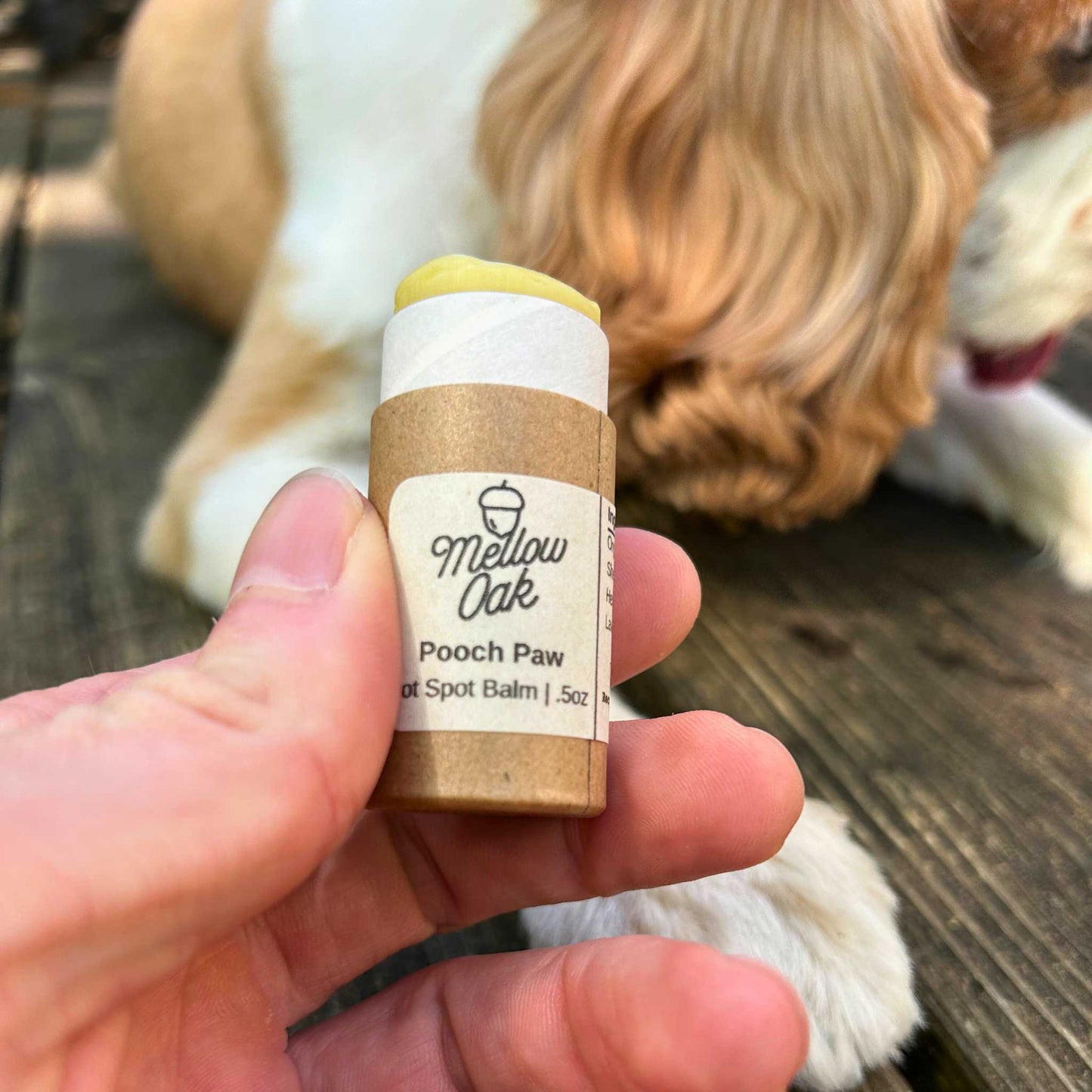 Pooch Paw | Hot Spot Balm