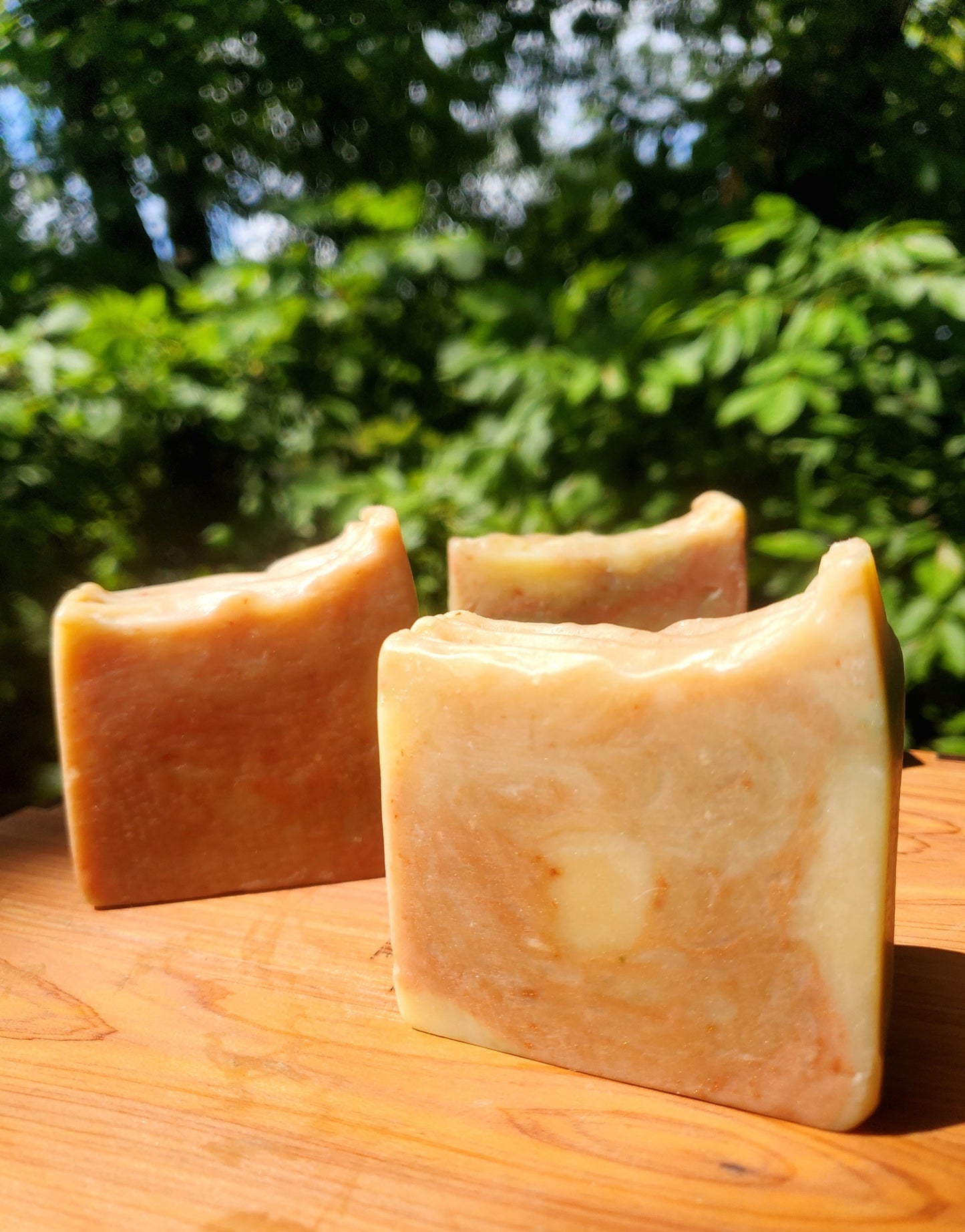 Several bars of CBD natural soap outside with green trees in the background